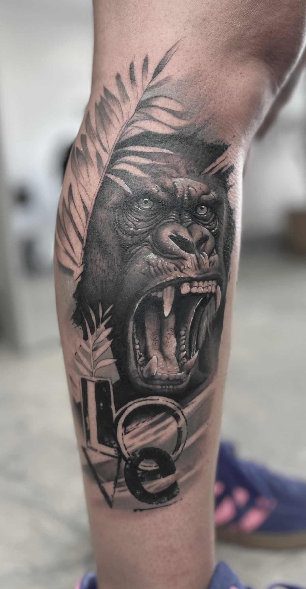 Roaring gorilla among palm leaves with lettering below, in black and grey on the calf.